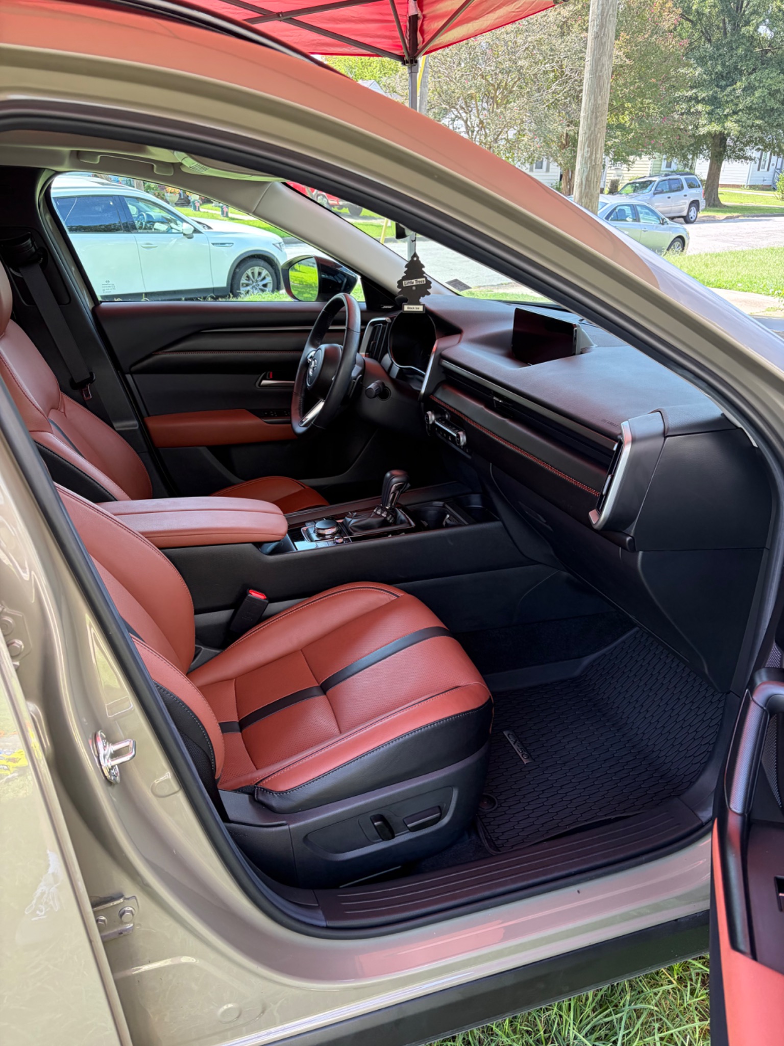 Vehicle interior detailing example